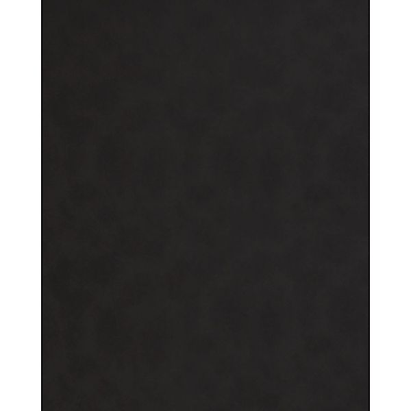 WALLFACE 19762-NA Antigrav Charcoal Dark Wandpaneel Leder Optik Anthrazit 2 günstig online kaufen
