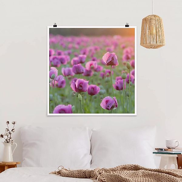 Poster Blumen - Quadrat Violette Schlafmohn Blumenwiese im Frühling günstig online kaufen