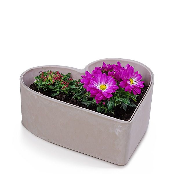 matches21 HOME & HOBBY Blumentopf Herz günstig online kaufen