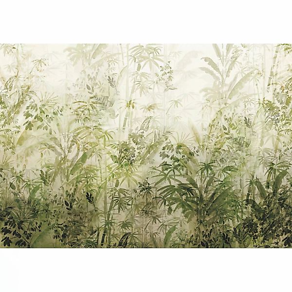 Komar Fototapete Vlies Wilderness  400 x 280 cm günstig online kaufen