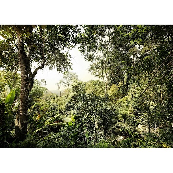 Komar Fototapete Vlies Dschungel  350 x 250 cm günstig online kaufen