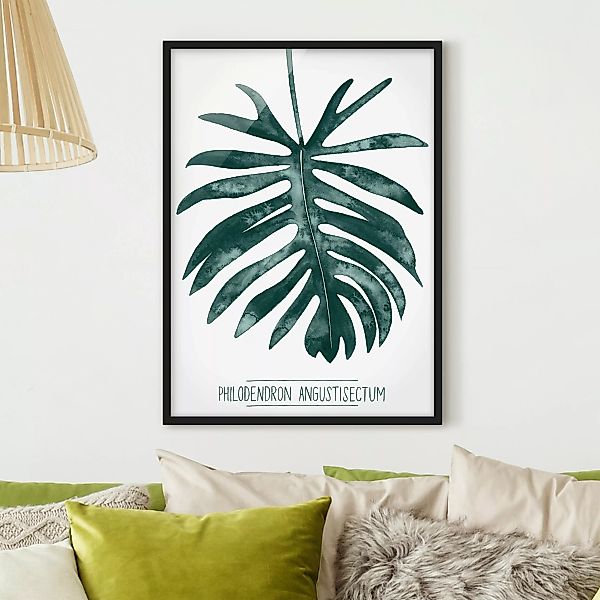 Bild mit Rahmen Kunstdruck - Hochformat Smaragdgrüner Philodendron Angustis günstig online kaufen