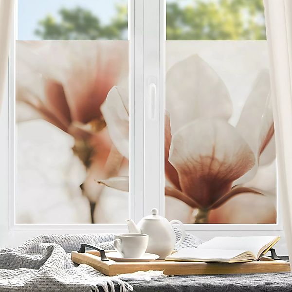 Fensterfolie Zarte Magnolienblüten im Lichtspiel günstig online kaufen