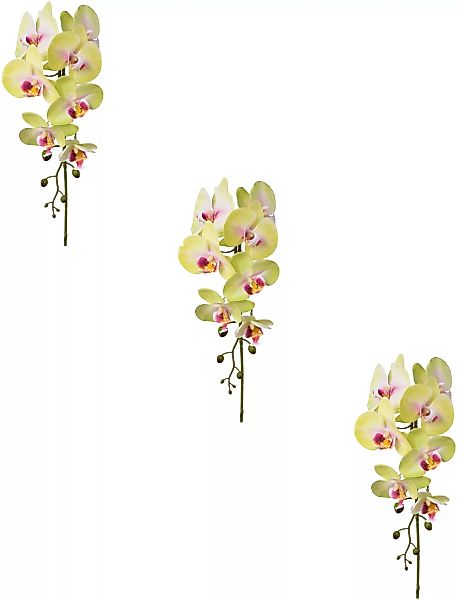 Creativ green Kunstblume "Orchidee Phalaenopsis" günstig online kaufen