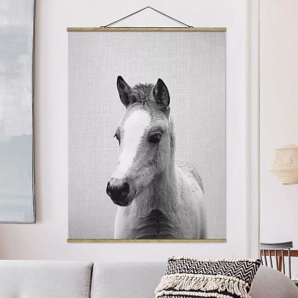 Stoffbild mit Posterleisten Baby Pferd Philipp Schwarz Weiß günstig online kaufen