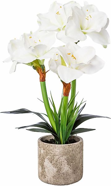 Winterliche Kunstpflanze Weihnachtsdeko Amaryllis, Creativ deco, günstig online kaufen