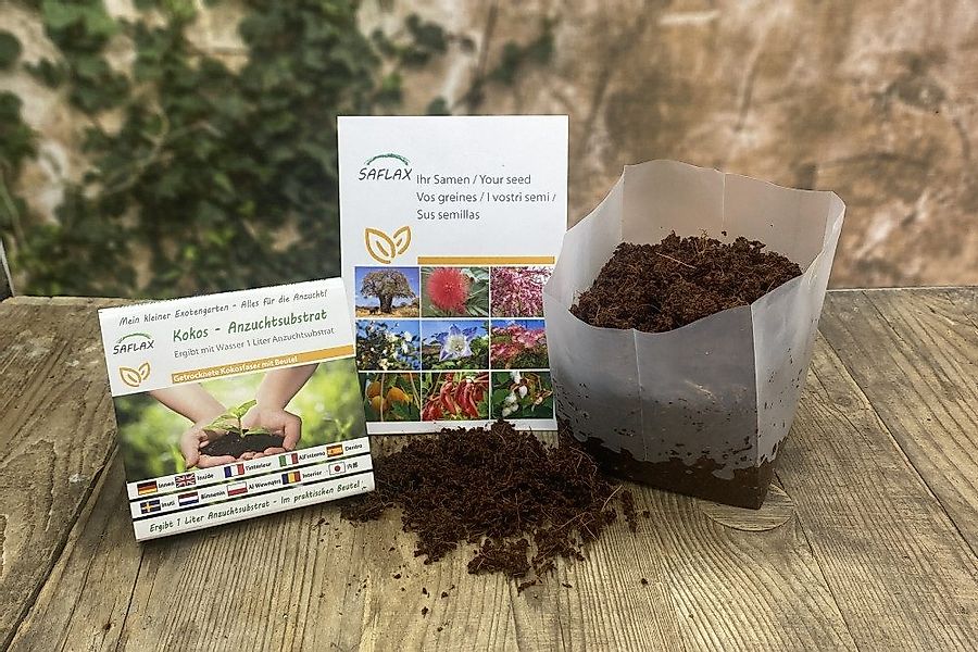 SAFLAX Gemüsesamen SAFLAX - Garden in günstig online kaufen