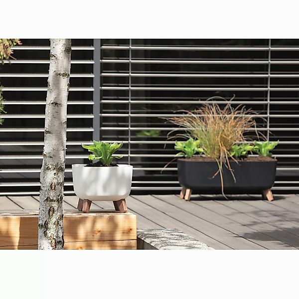 Prosperplast Blumentopf Gracia Square, Blumentopf mit günstig online kaufen