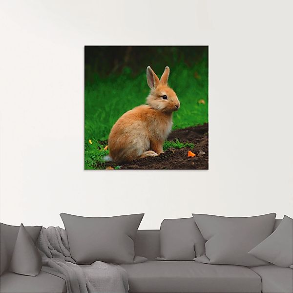 Artland Glasbild "Zwergkaninchen im Grünen", Wildtiere, (1 St.), in verschi günstig online kaufen