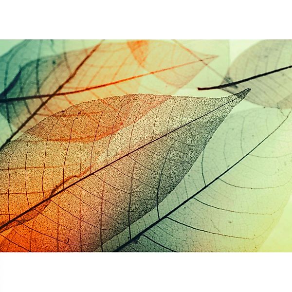 Fototapete Blätter Orange Grün 3,50 m x 2,55 m FSC® günstig online kaufen