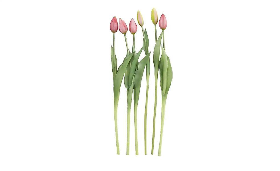 Tulpenbund  7-fach   ¦ rosa/pink ¦ Kunststoff,PVC ¦ Maße (cm): H: 44 Access günstig online kaufen