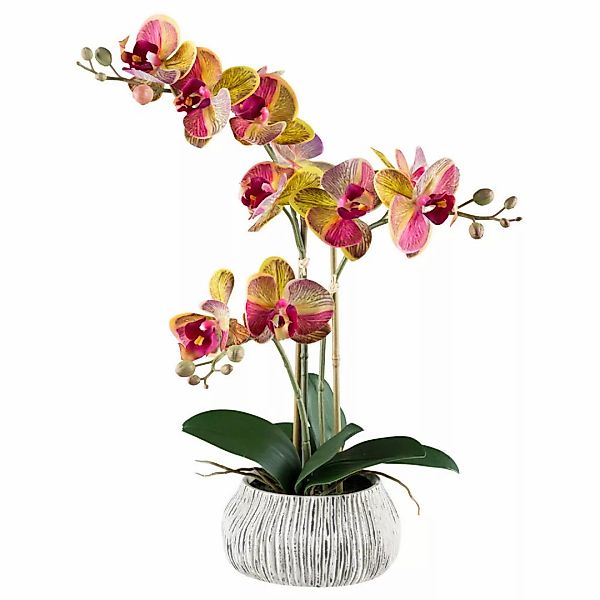 Kunstpflanze Phalaenopsis pink Kunststoff B/H/L: ca. 17x55x17 cm günstig online kaufen