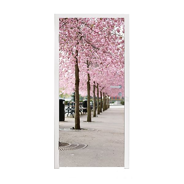 MuchoWow Türtapete Frühling - Sakura - günstig online kaufen