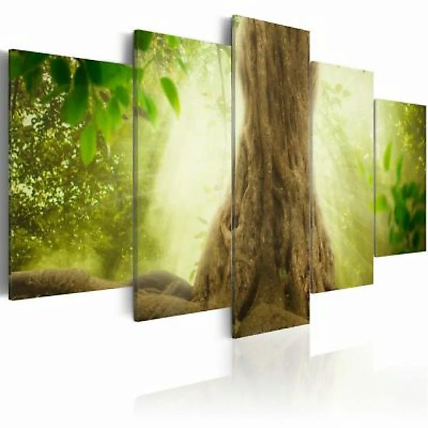 artgeist Wandbild Elves Tree grün-kombi Gr. 200 x 100 günstig online kaufen