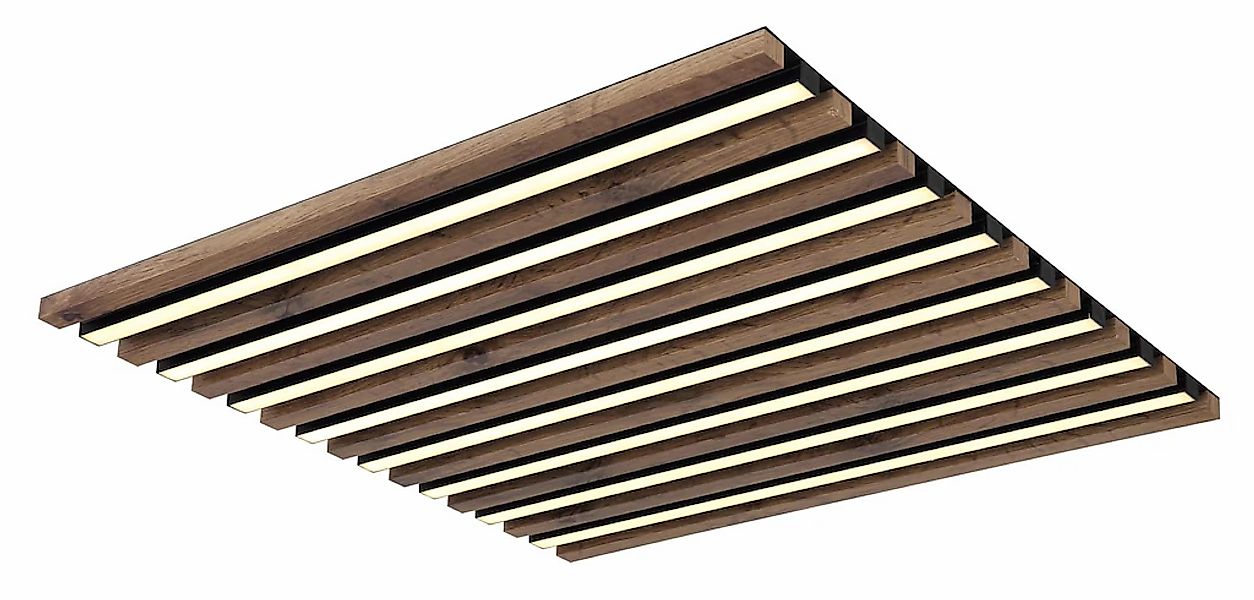 GLOBO LIGHTING LED Deckenleuchte »HAYDEN«, 1 flammig, Leuchtmittel LED-Modu günstig online kaufen