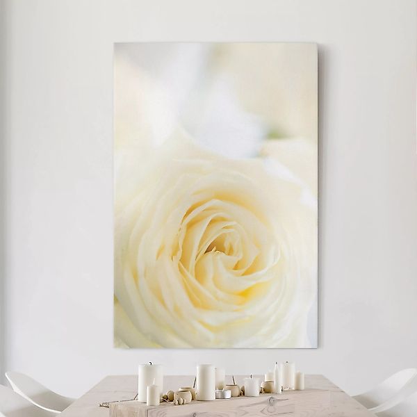 Leinwandbild Blumen - Hochformat White Rose günstig online kaufen