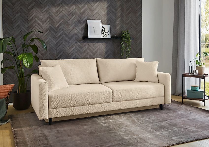 Jockenhöfer Gruppe Schlafsofa "Björn" mit Bettfunktion und Bettkasten/Staur günstig online kaufen