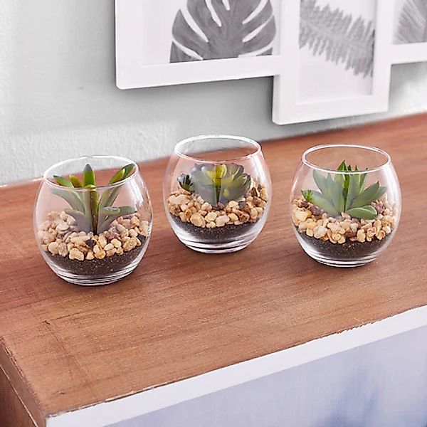 Creativ green Kunstpflanze »Sukkulenten« günstig online kaufen