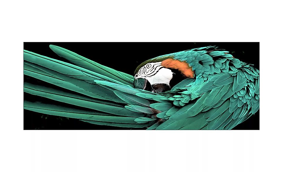 Glasbild  Green Parrot - 80 cm - 30 cm - Sconto günstig online kaufen