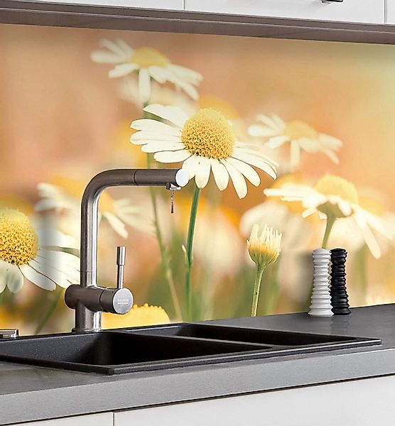 MyMaxxi Küchenrückwand Küchenrückwand selbstklebend Blumenwiese Margeriten günstig online kaufen
