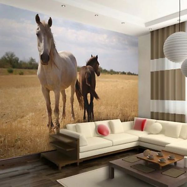 artgeist Fototapete Pferd und Fohlen mehrfarbig Gr. 400 x 309 günstig online kaufen