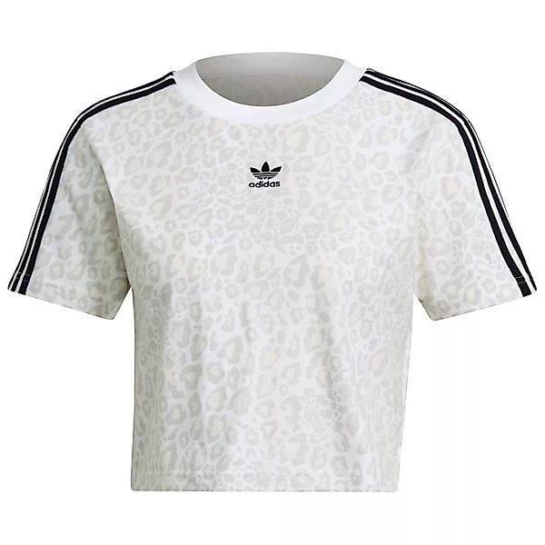 Adidas Originals Crop Kurzarm T-shirt 34 Multicolor / White / Talc günstig online kaufen