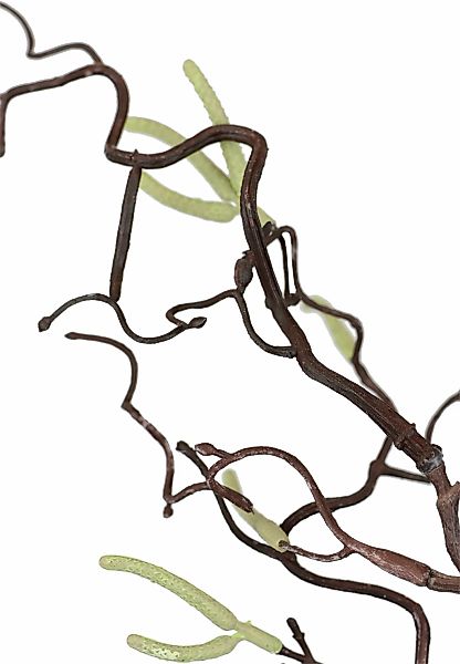 Kunstblume Korkenzieherzweig Künstlicher Dekozweig, I.GE.A., Höhe 115 cm, K günstig online kaufen