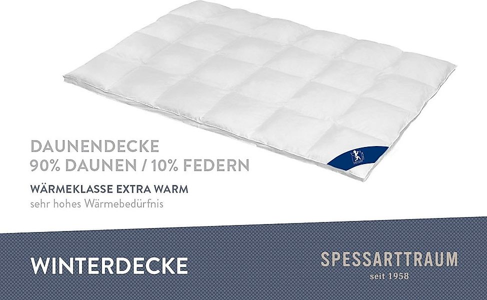 SPESSARTTRAUM Daunenbettdecke First Class, Füllung: 90% günstig online kaufen