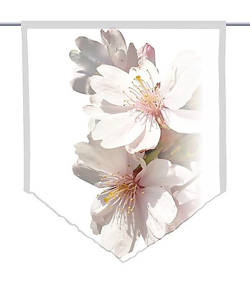 gardinen-for-life Scheibengardine Scheibenhänger spitz Mandeltraum, Voile günstig online kaufen