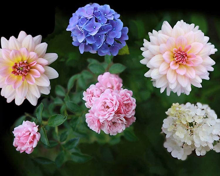 Fototapete "Blumen" 4,00x2,50 m / Glattvlies Perlmutt günstig online kaufen