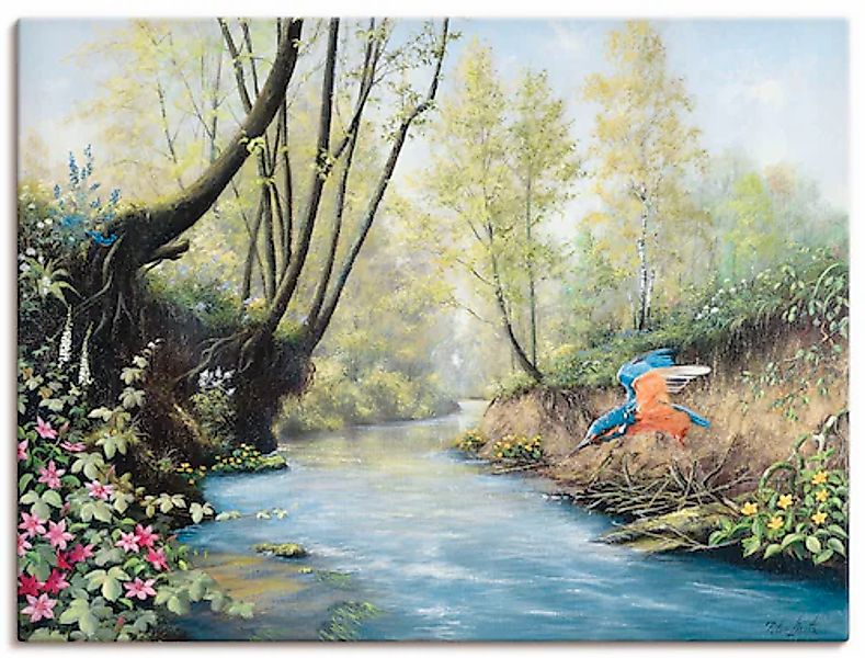 Artland Wandbild »Eisvogel III« Gewässer 1 Stk. tlg. als Leinwandbild, Post günstig online kaufen