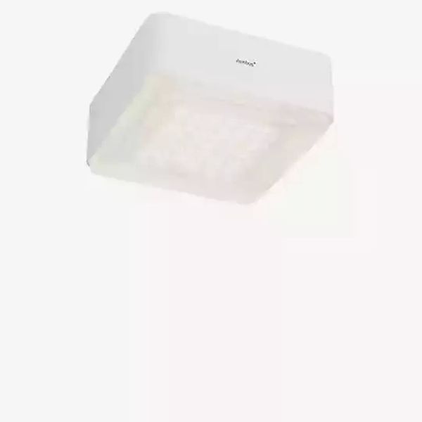 Nimbus Modul Q Connect Deckenleuchte LED, mit Gehäuse - 12,2 cm - weiß - in günstig online kaufen