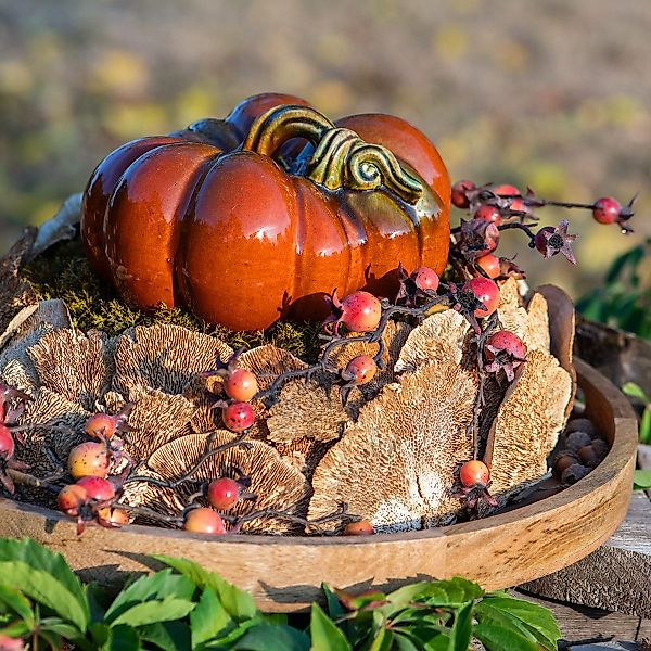 Trockenblume Natürliche Deko Baumschwamm getrocknet 1kg günstig online kaufen