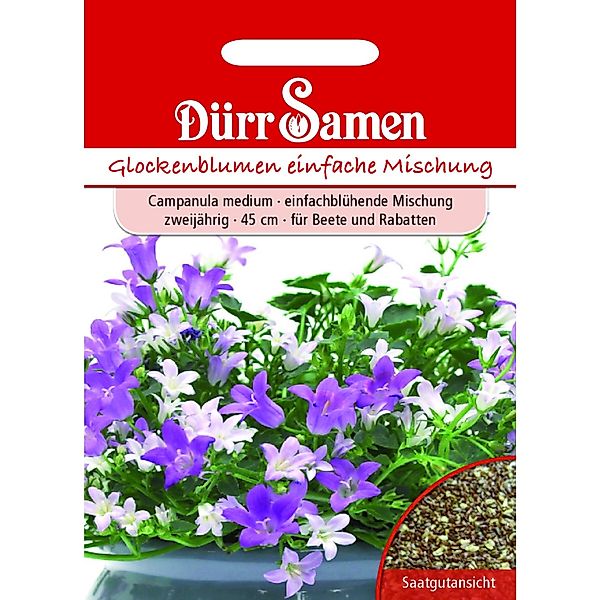Dürr Samen Glockenblume Einfache Mischung Zweijährig Saatgut günstig online kaufen