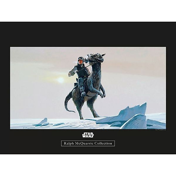Komar Wandbild Star Wars Classic RMQ Hoth Tauntaun Star Wars B/L: ca. 40x30 günstig online kaufen