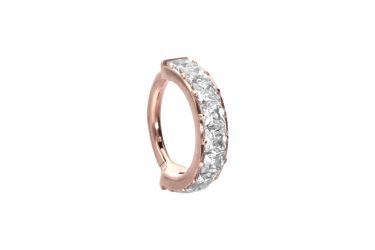 PIERCINGLINE Nasenpiercing Titan Segmentring Clicker EINGEFASSTE günstig online kaufen