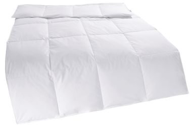 my home Daunenbettdecke "Cyra, Bettdecke 135x200 cm, 155x220 cm" leicht Fül günstig online kaufen