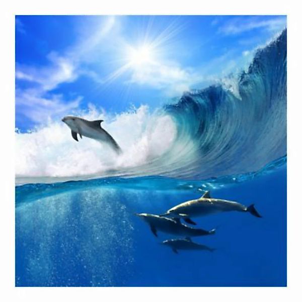 Bilderwelten Kindertapete Playing Dolphins rosa Gr. 336 x 336 günstig online kaufen