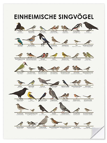 Posterlounge Poster Iris Luckhaus, Einheimische Singvögel, günstig online kaufen