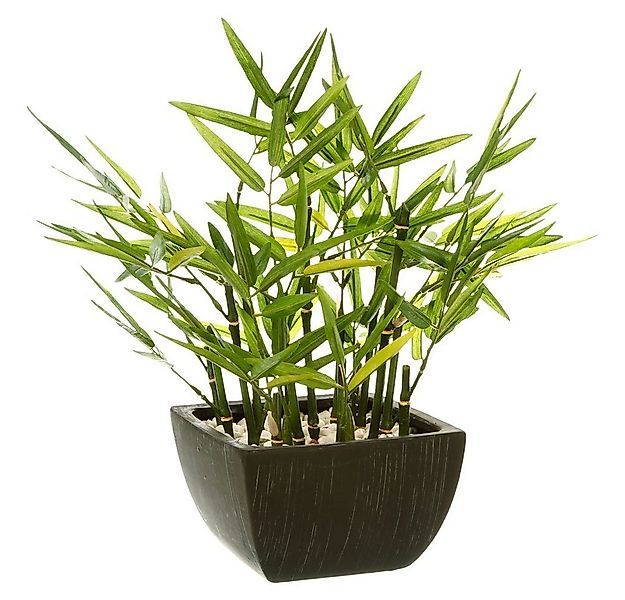 Kunstpflanze Zimmerpflanze, Atmosphera Créateur d'intérieur, Höhe 35 cm günstig online kaufen