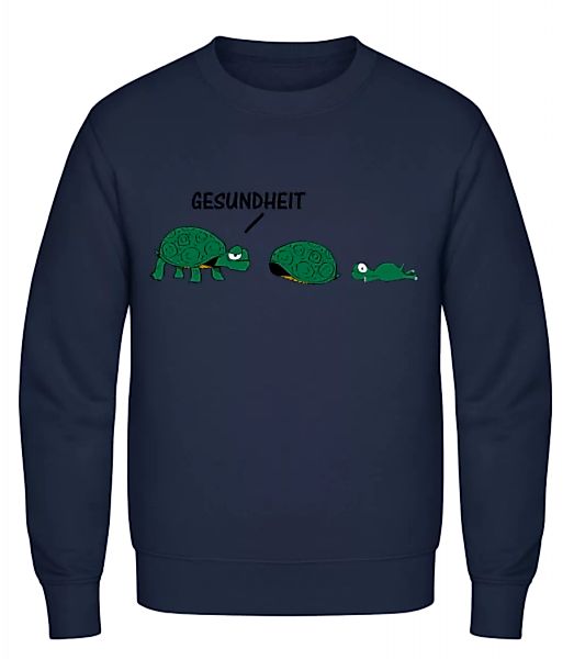 Gesundheit Schildkröte · Männer Pullover günstig online kaufen