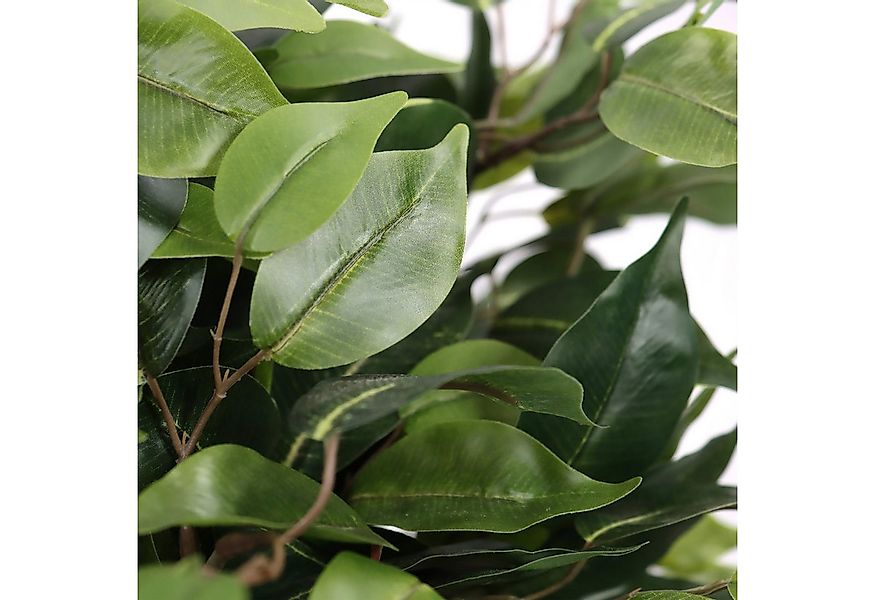 Kunstpflanze Kunstpflanze FICUS II Kunststoff Birke, hjh OFFICE, Höhe 65.0 günstig online kaufen