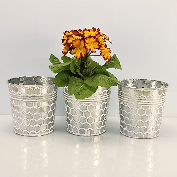 Online-Fuchs Blumentopf Runde silberne Blumentöpfe aus günstig online kaufen