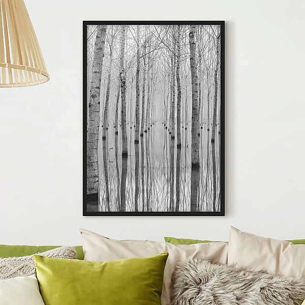Bild mit Rahmen Natur & Landschaft - Hochformat Birken im November günstig online kaufen