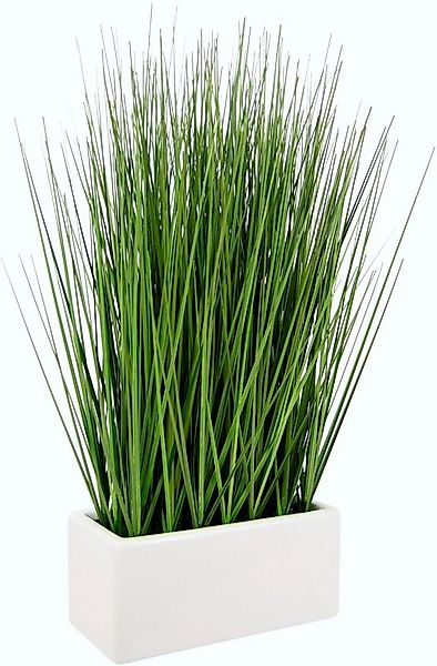 Kunstgras Gras, I.GE.A., Höhe 45 cm, in Keramikschale günstig online kaufen