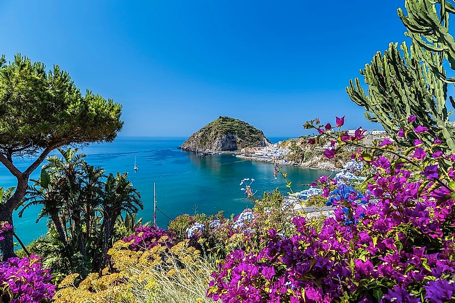 Papermoon Fototapete "ISCHIA ITALIEN-BOUGANVILLA INSEL MEER BLUME FELSEN WA günstig online kaufen