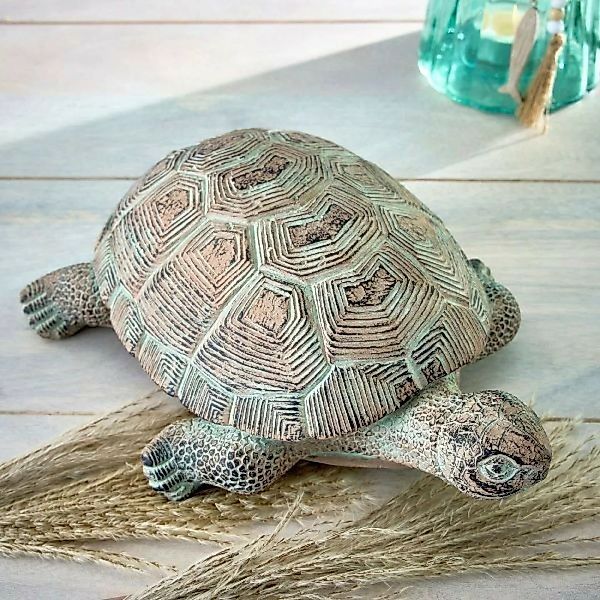 Schildkröte Schildi günstig online kaufen