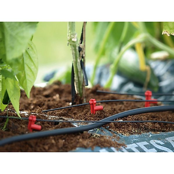 Vitavia Bewässerungssystem "Ergänzungs-Set für Hydromat" () inkl. 10 Tropfs günstig online kaufen