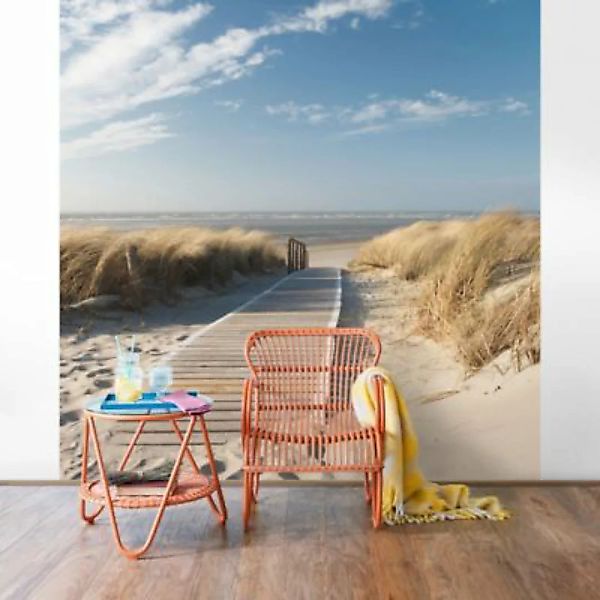 Bilderwelten Fototapete Strand Ostsee Strand creme Gr. 288 x 190 günstig online kaufen