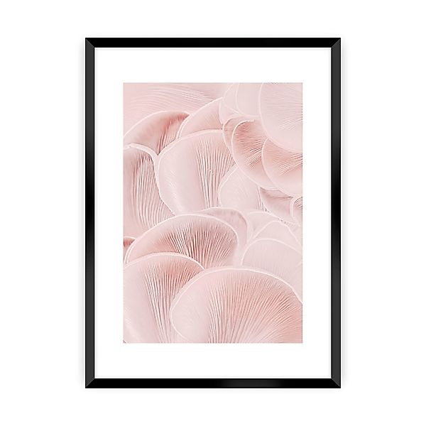 Poster Pastel Pink I, 50 x 70 cm , Ramka: Czarna günstig online kaufen